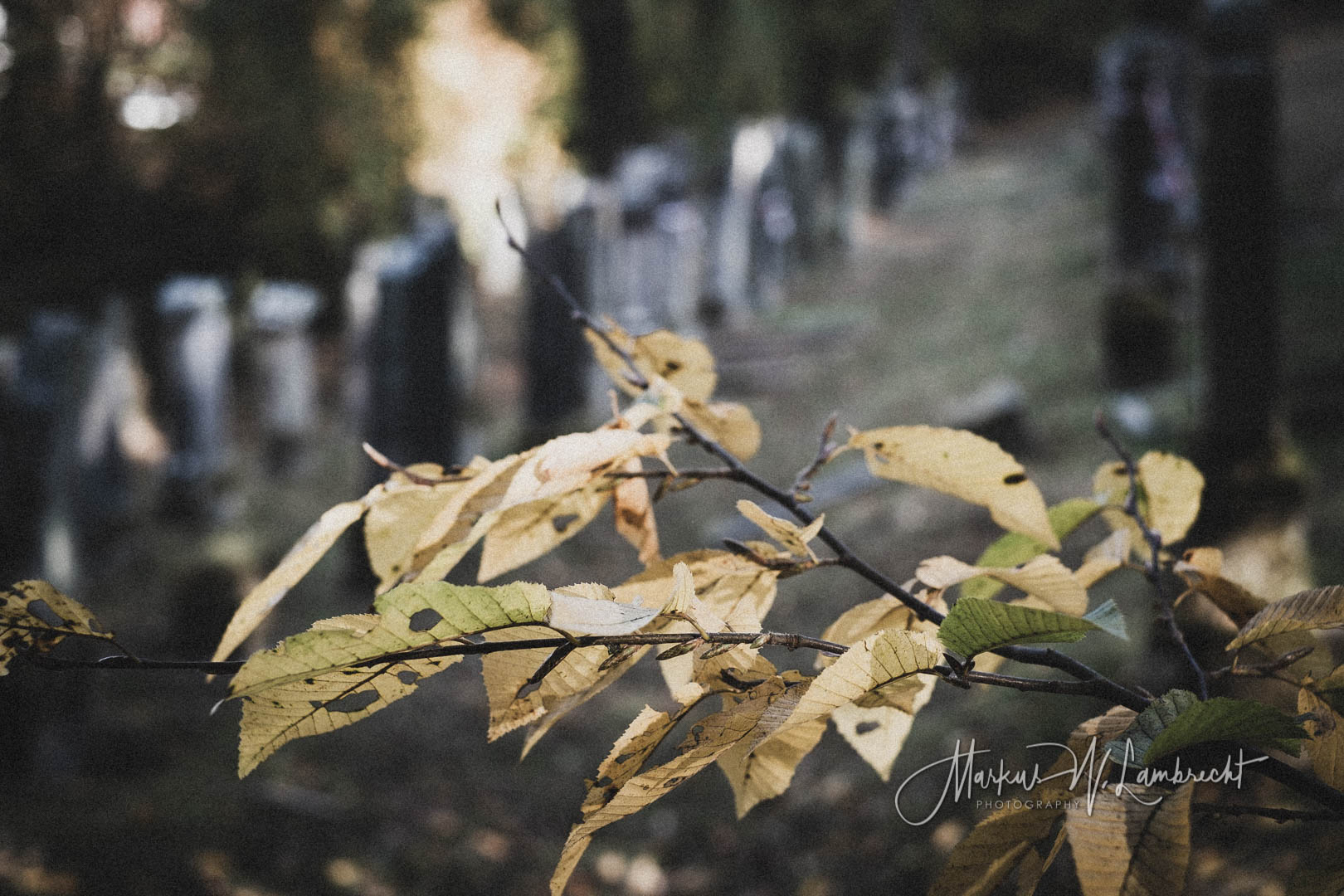 Burghaun, Jüdischer Friedhof